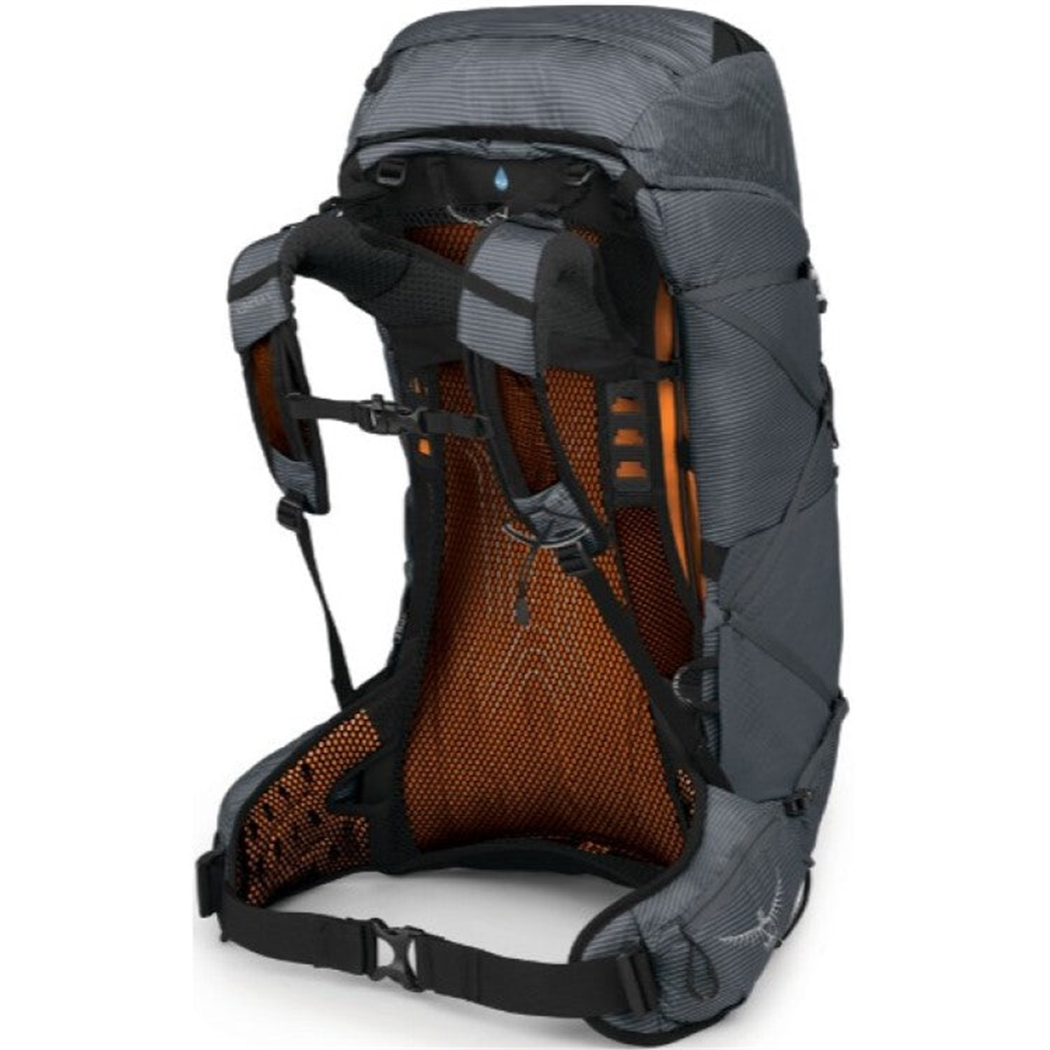 Osprey clearance exos 48